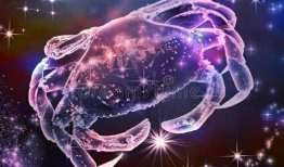 巨蟹视频,揭秘巨蟹座独特魅力与生活点滴