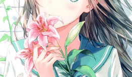 手机壁纸图片高清动漫,高清视觉盛宴，带你领略动漫魅力